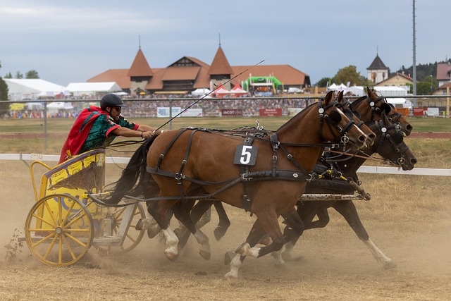 未有的程度 未有的程度